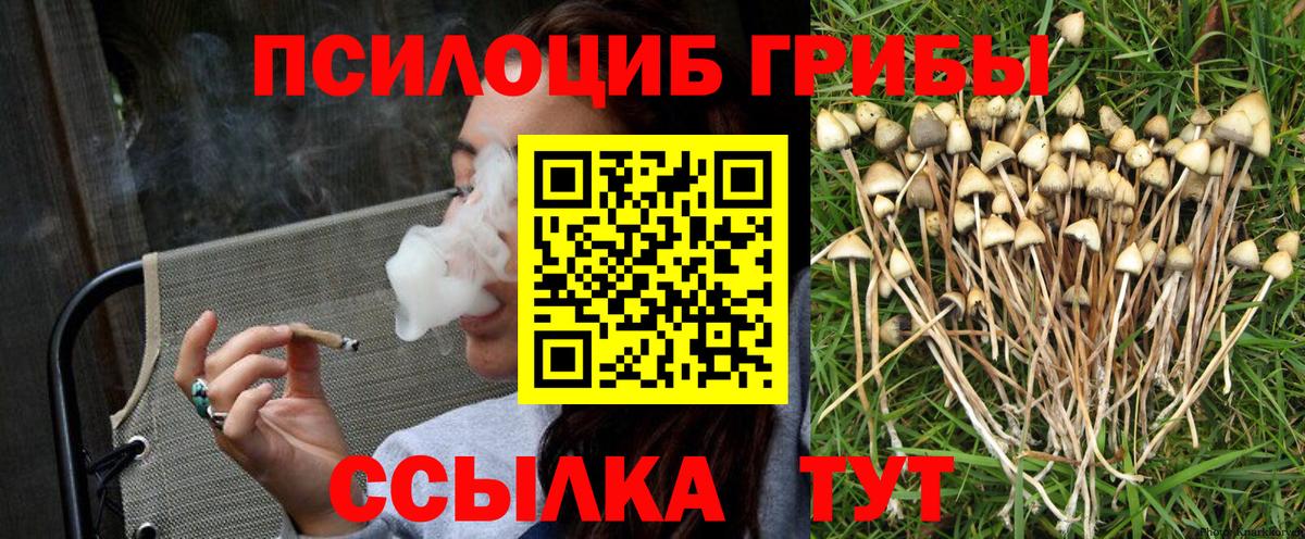 Псилоцибиновые грибы Psilocybine cubensis  Вход с VPN  Ачинск  Псилоцибиновые грибы мухоморы 